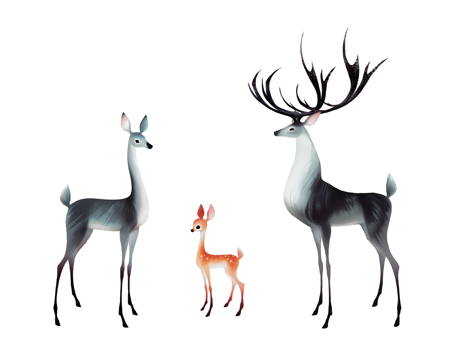 The Mountain Critters